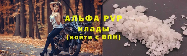PSILOCYBIN Абаза