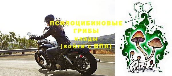 гашик Абдулино