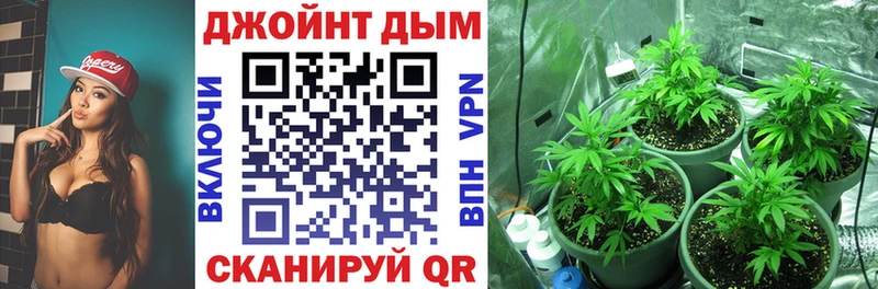 где купить наркотик  Павловский Посад  Марихуана конопля 